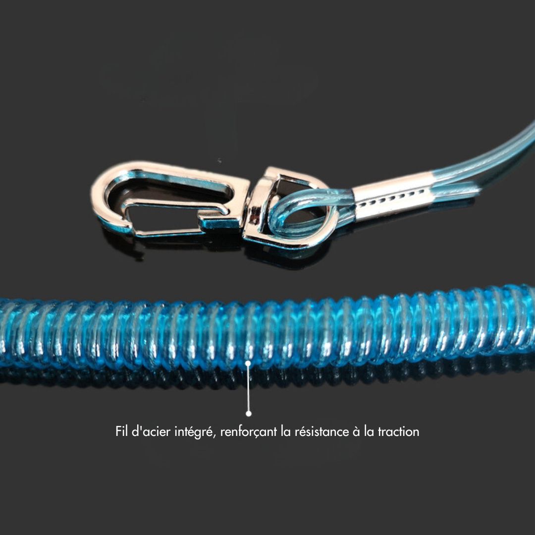 Cordon de sécurité extensible pour canne