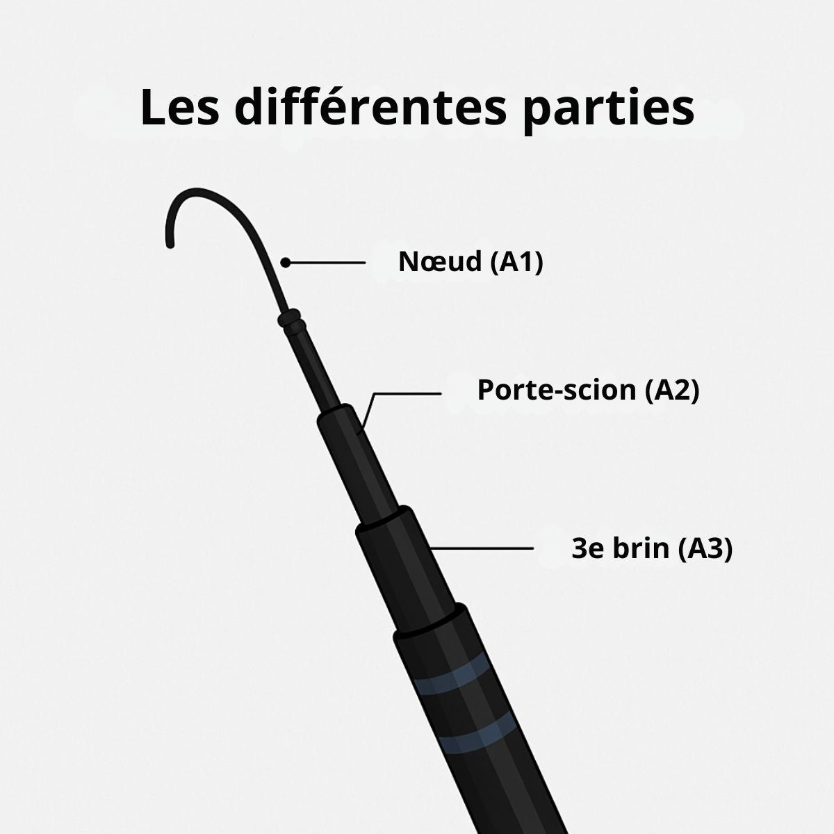 Scion pour canne Laipoly