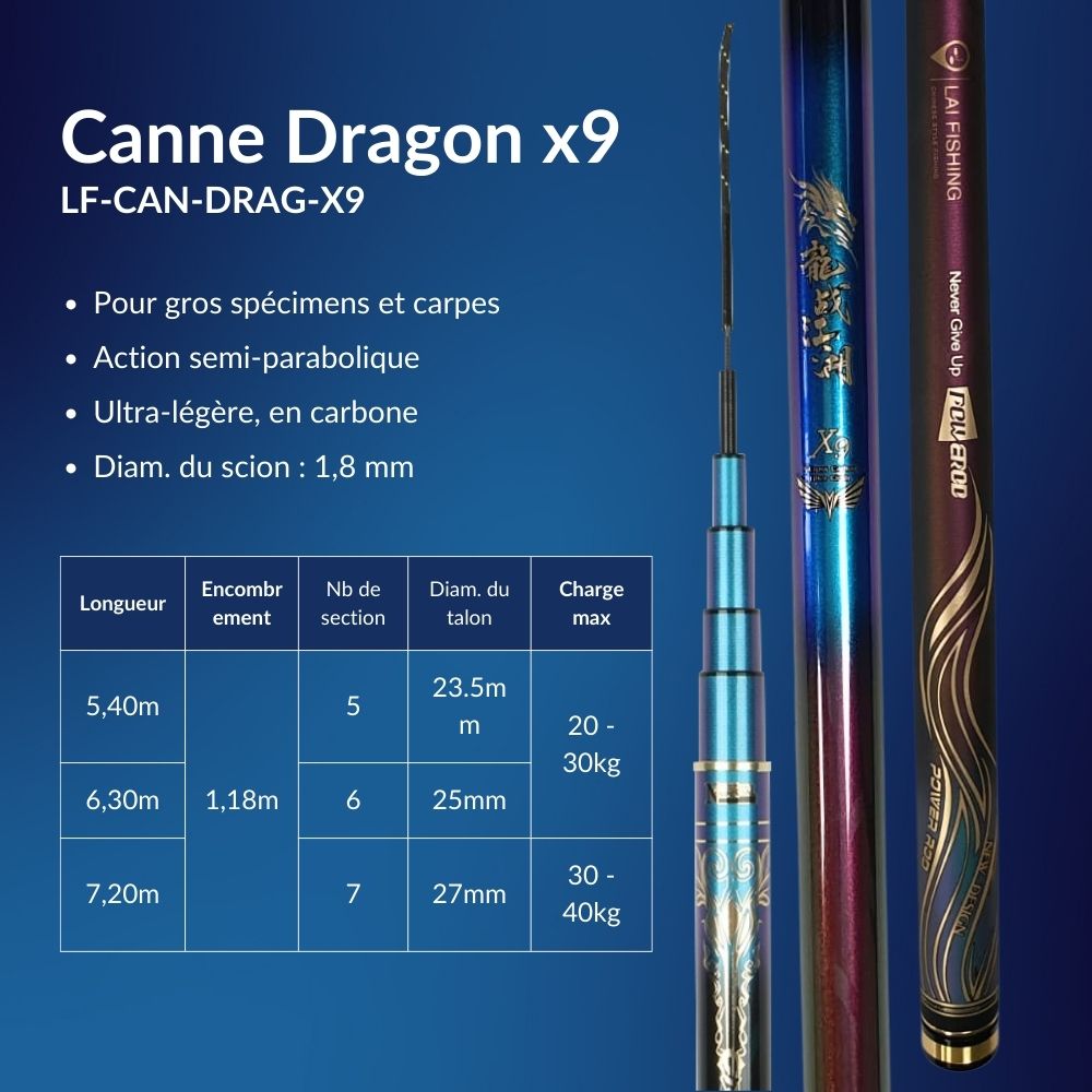 Canne à pêche chinoise Dragon x9 - Série Bleu Noir