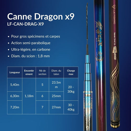 Canne à pêche chinoise Dragon x9 - Série Bleu Noir