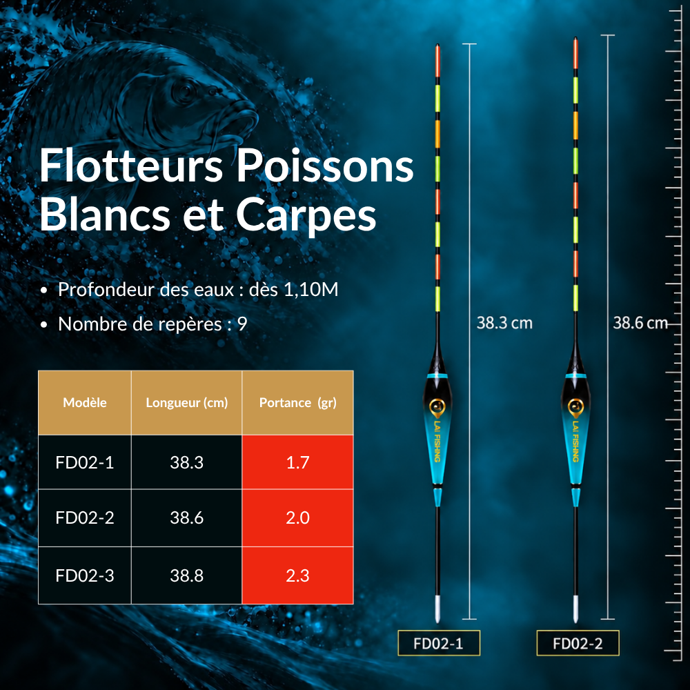 Flotteur FD02