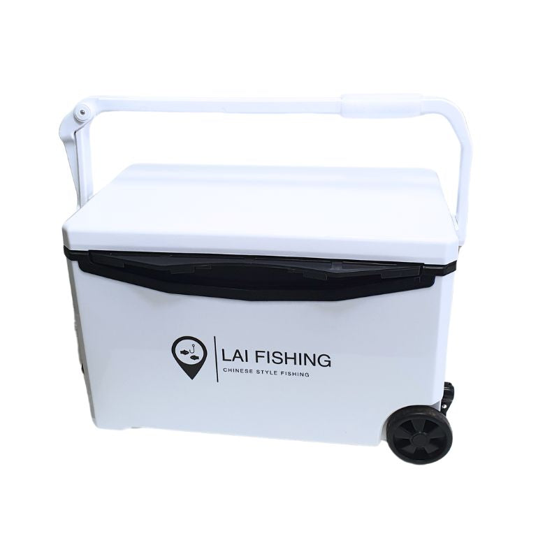 Kit de pêche au coup Dragon - 4.5m avec glacière