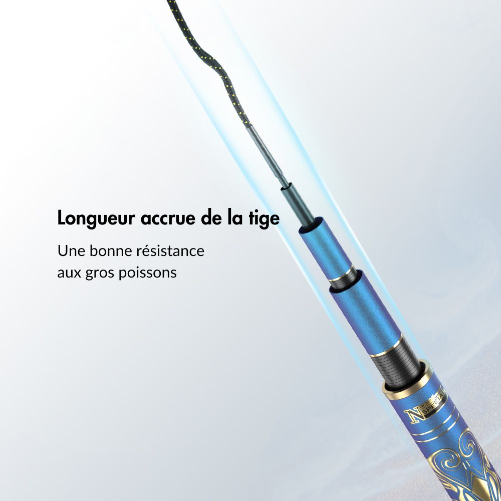 Canne à pêche chinoise Dragon x9 - Série Bleu Noir