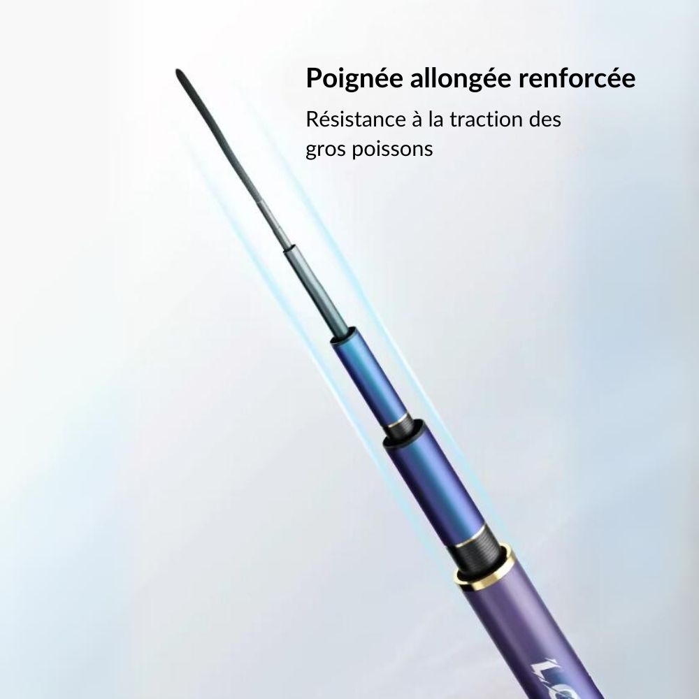 Canne à pêche chinoise Dragon x3.5 - Série Bleu Violet